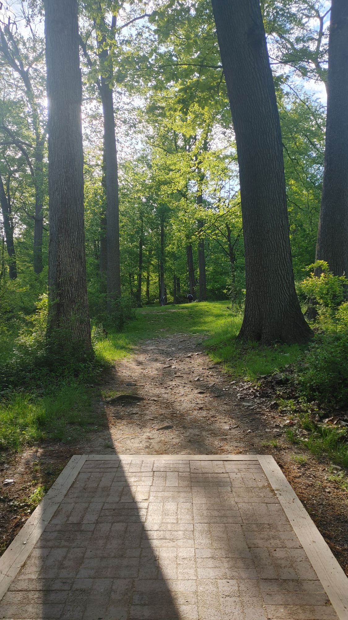 Hole #5