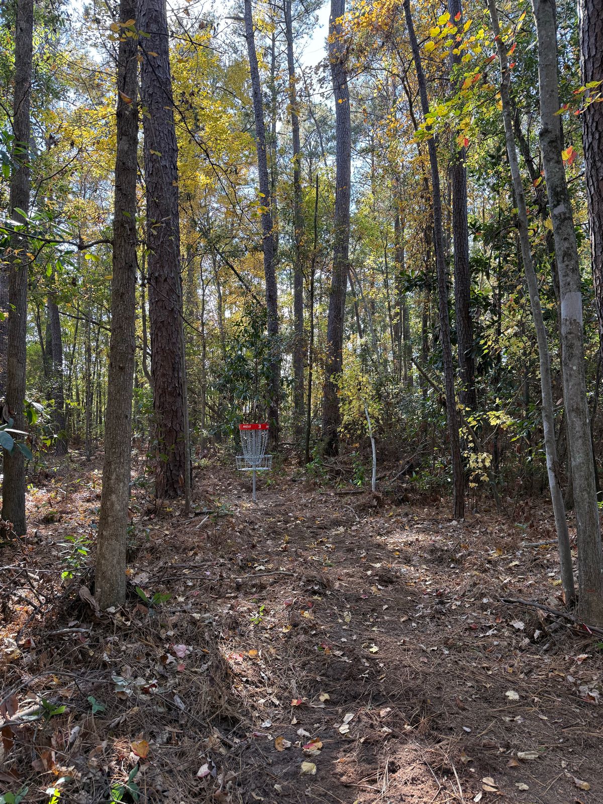 Hole 3 from the corner.