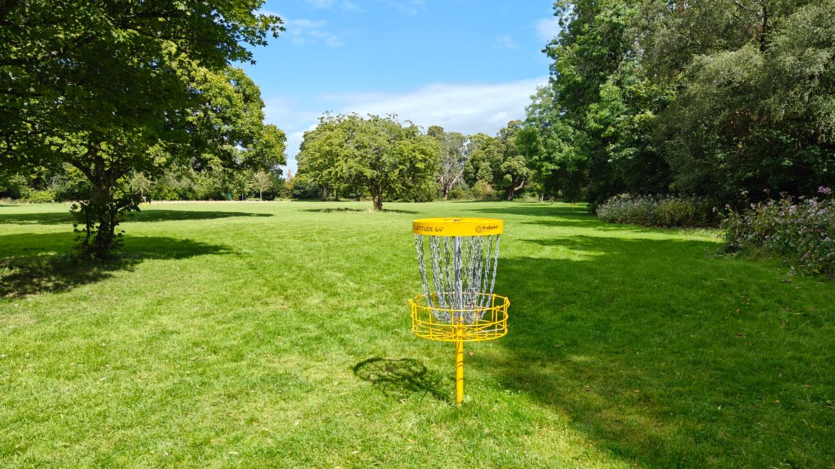 Rosshall Disc Golf Course (Hole 8 basket)