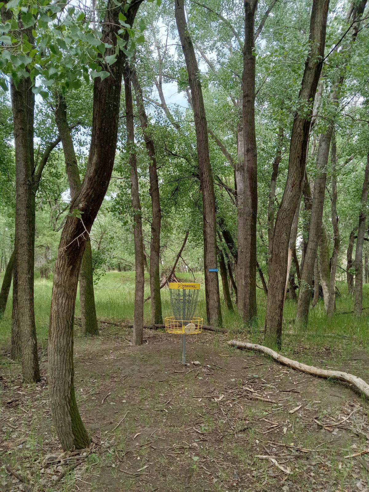 Hole 1 basket