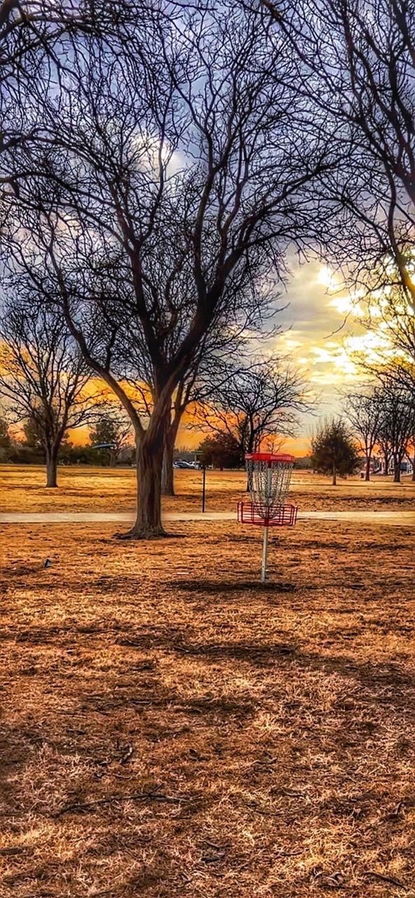 Photo cred - Matt Bohannon - P2 DGC