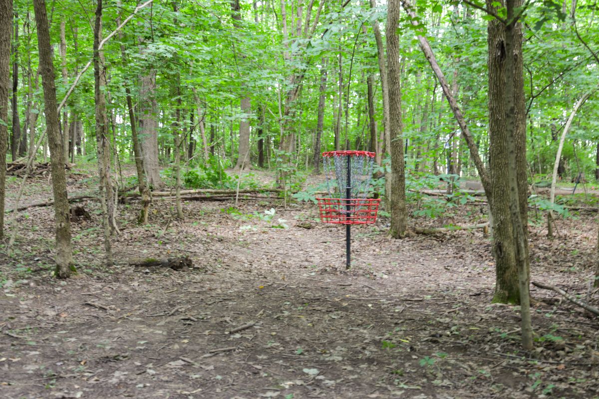 Hole 4 - green