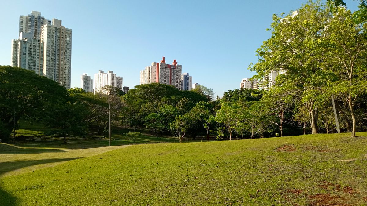 Parque Omar DG Course
Hola 4 Tee