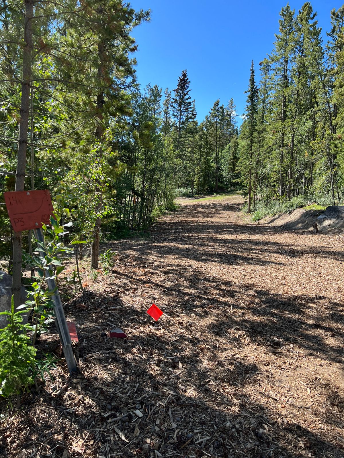 Hole 14 reds