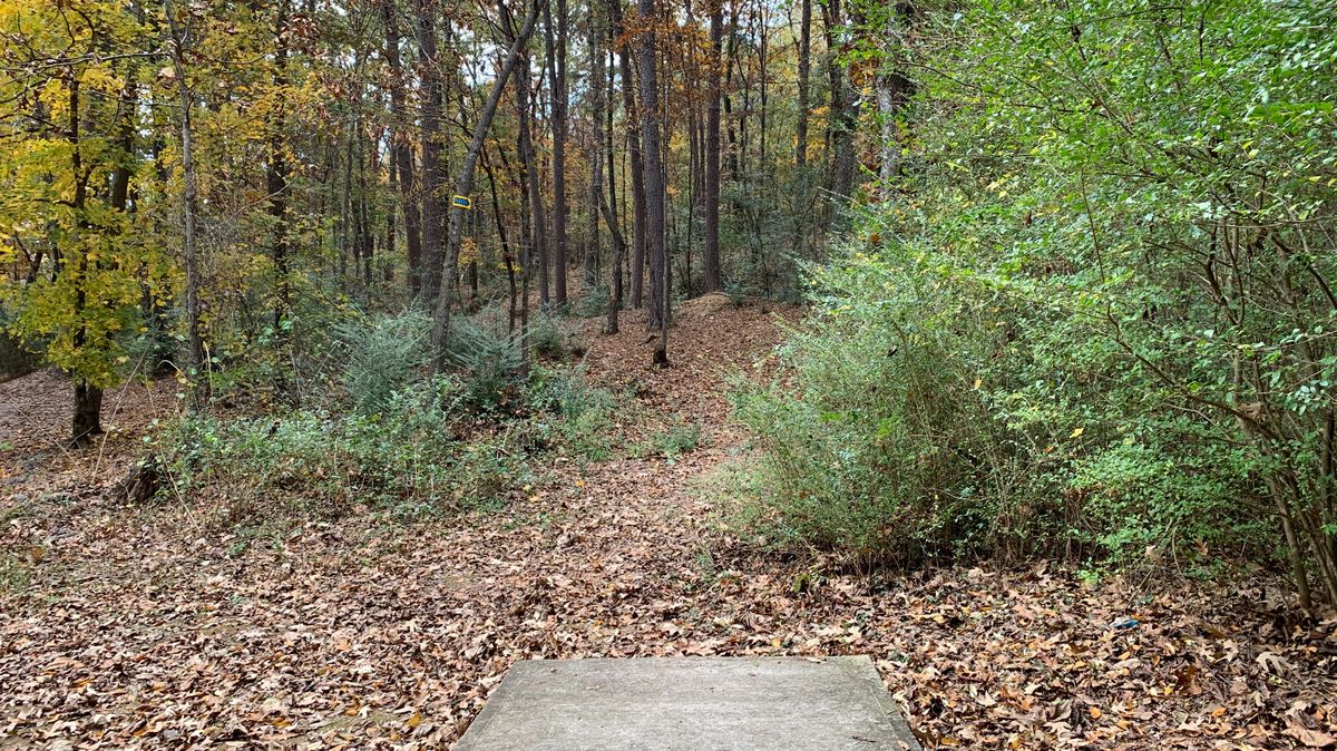 Hole 9