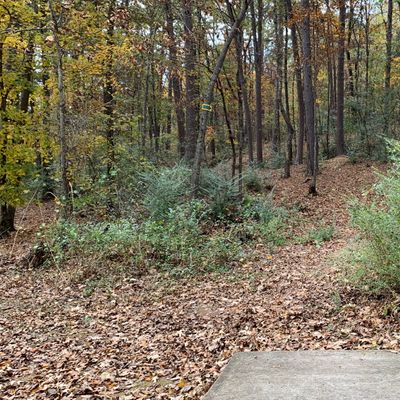 Hole 9