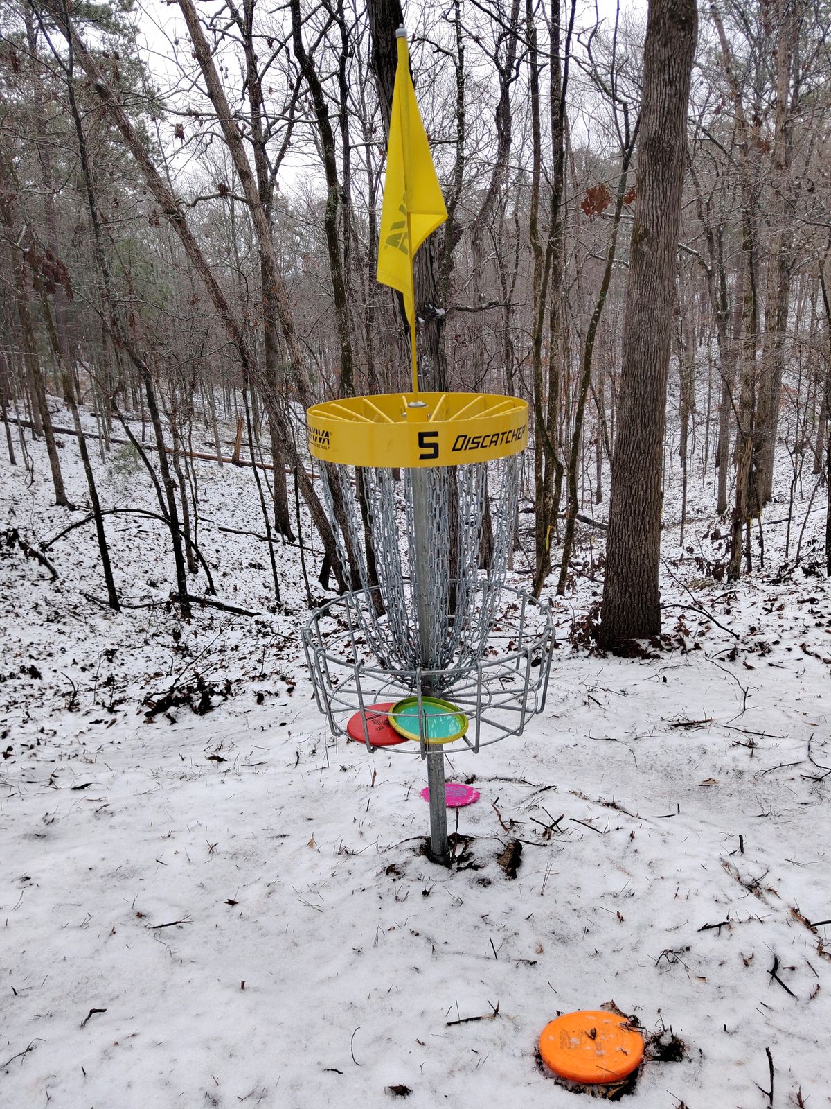 Basket 5 Snow day