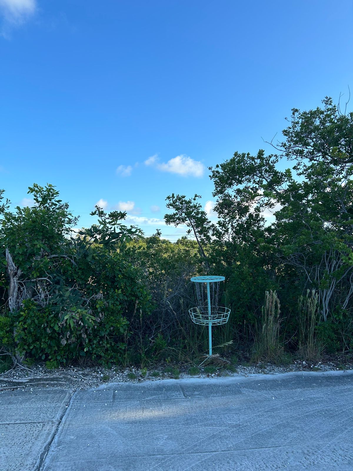 Hole 2/4