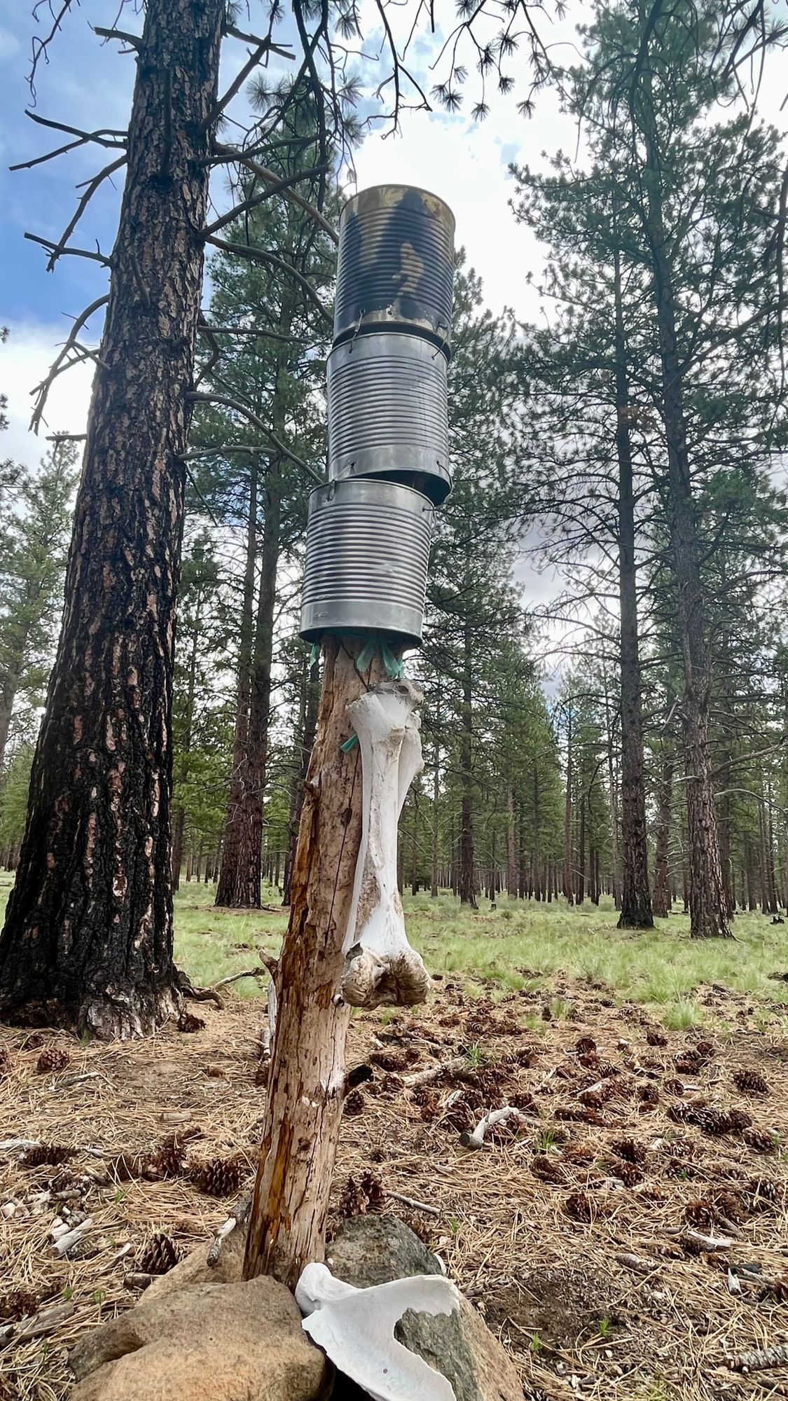 Cans on hole 18