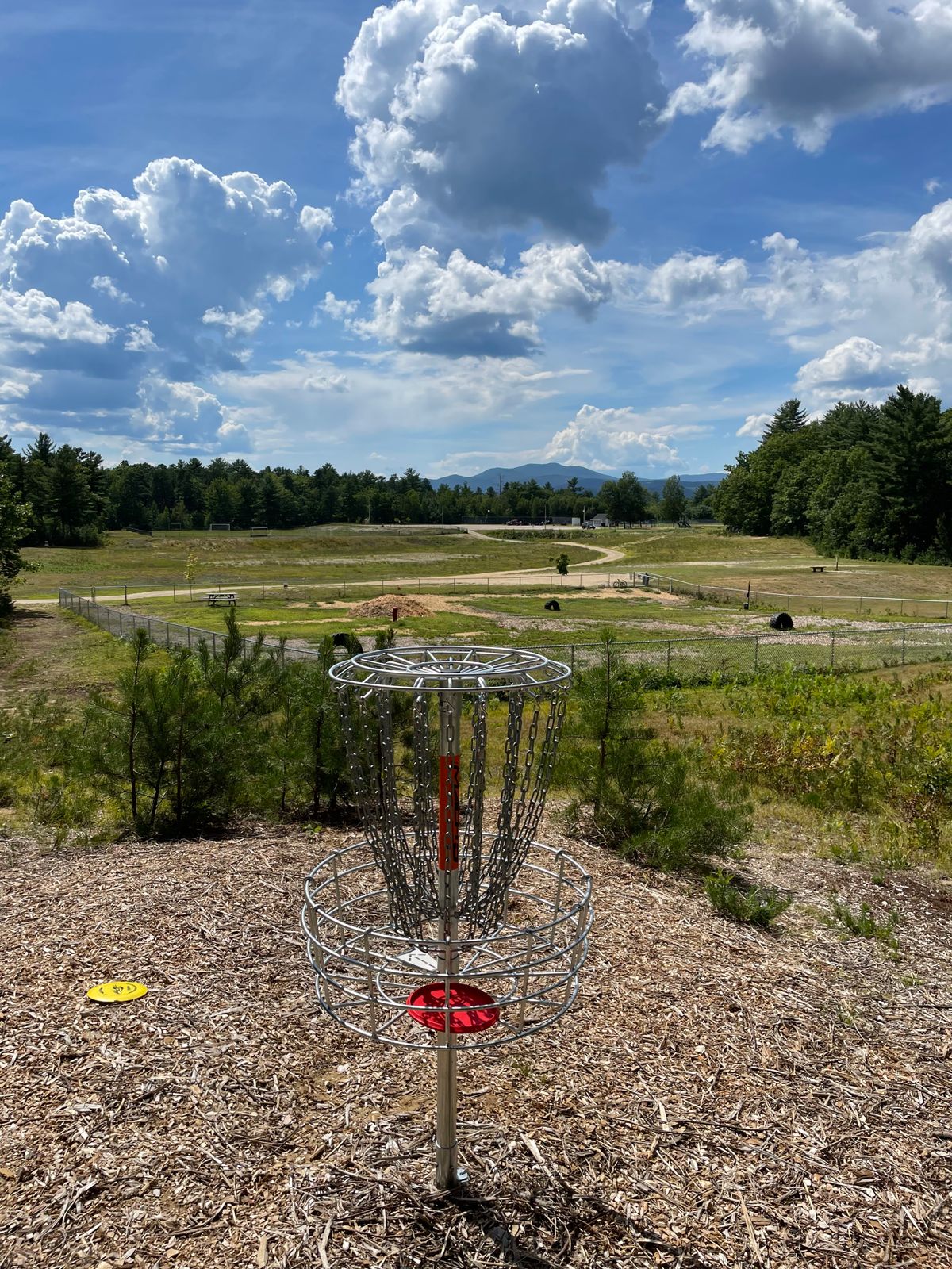 Hole 6 basket 