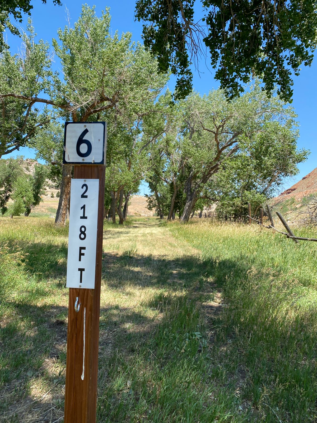 Signage and bag hooks.