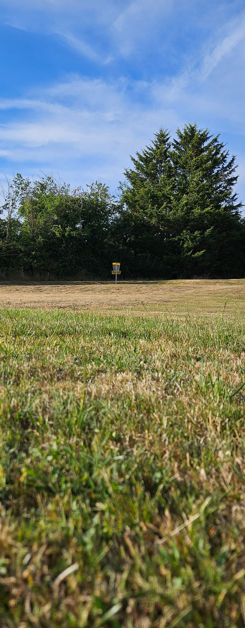 New pin location. Hole 4