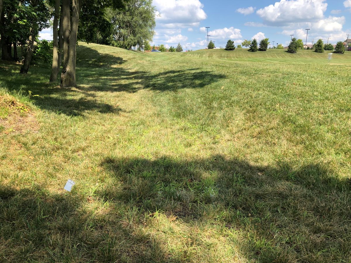 Hole 13 tee