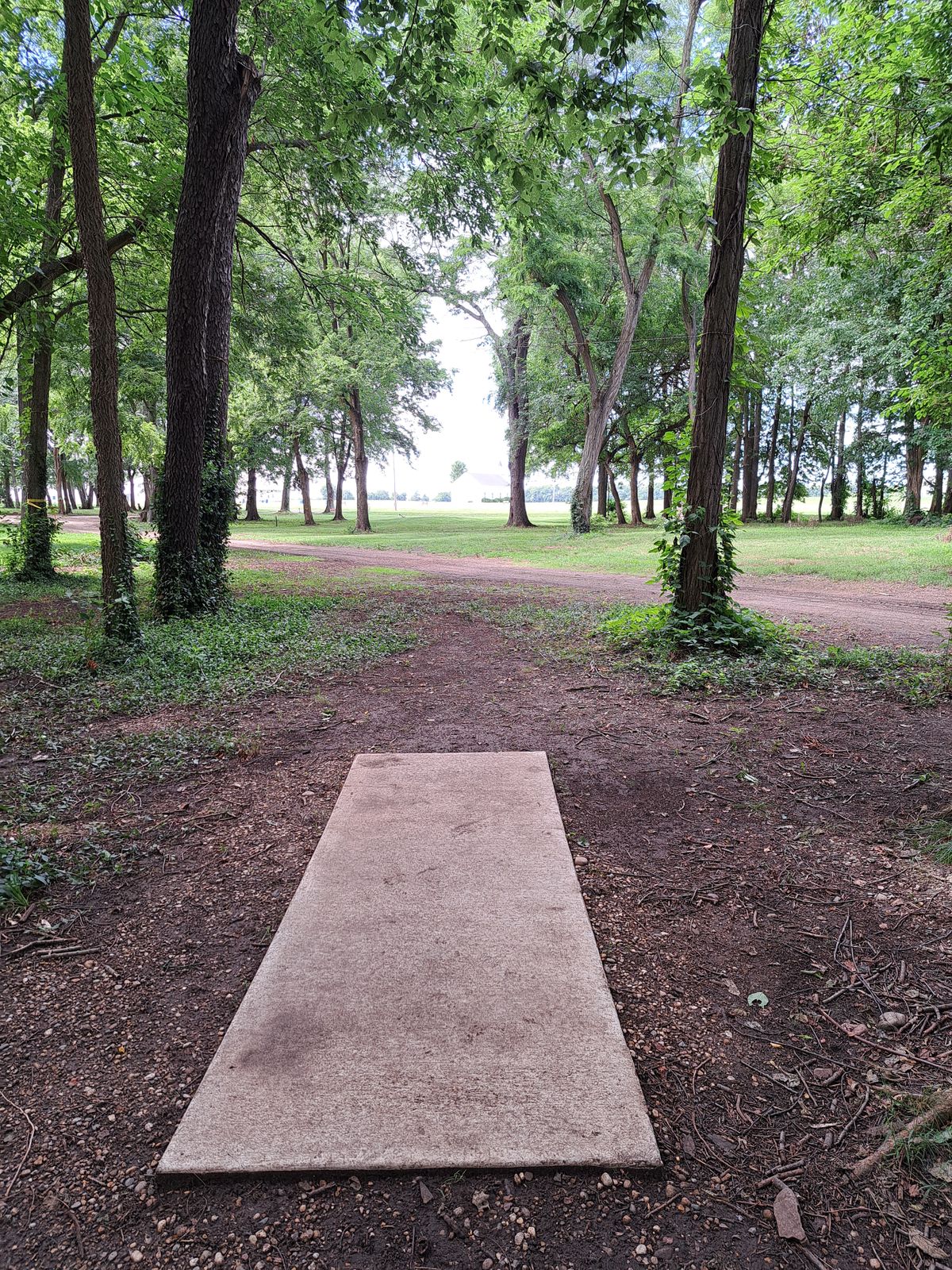 Hole 2.    7/3/24