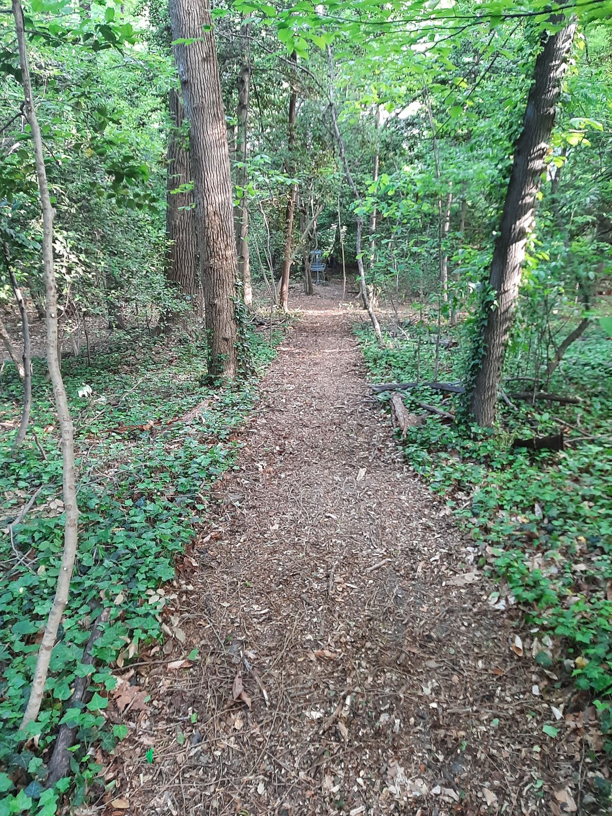 Hole 13 Blue Tee
