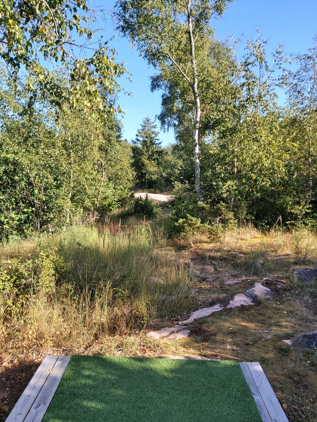 Hole 3