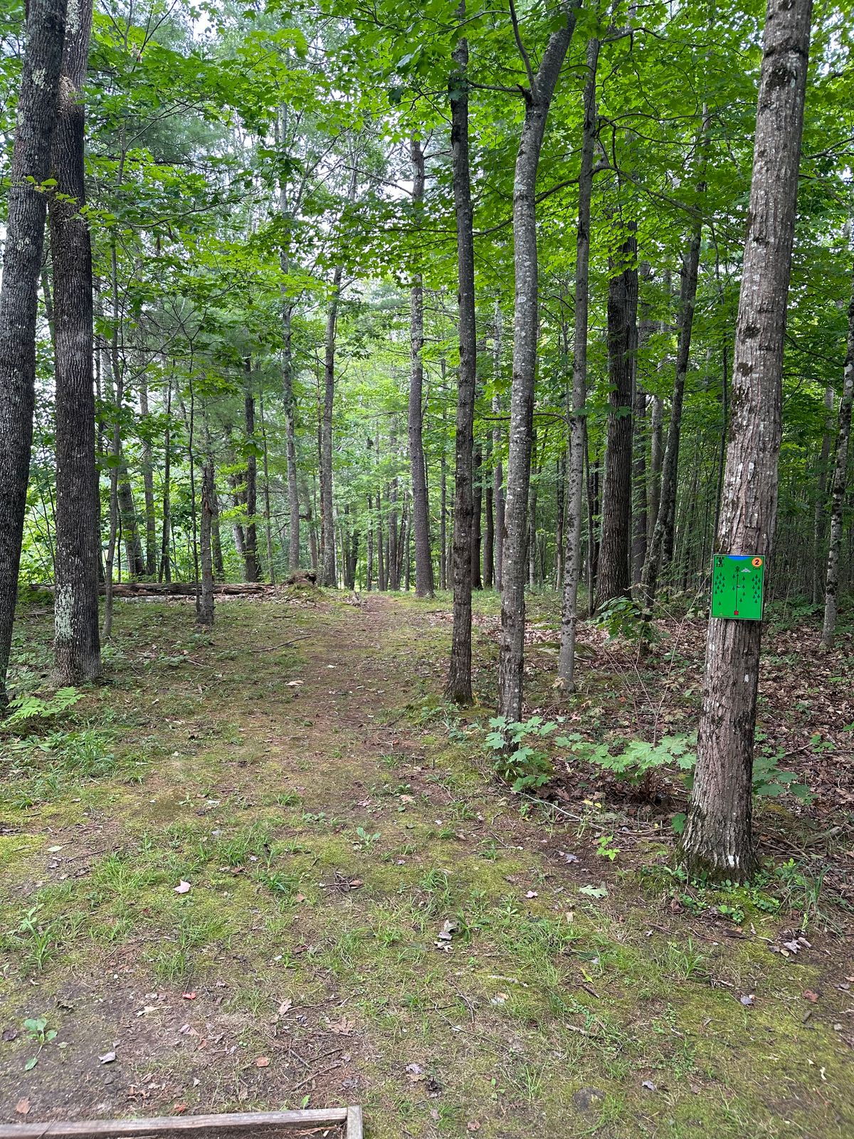 Hole 2