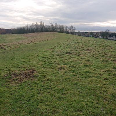Course photo