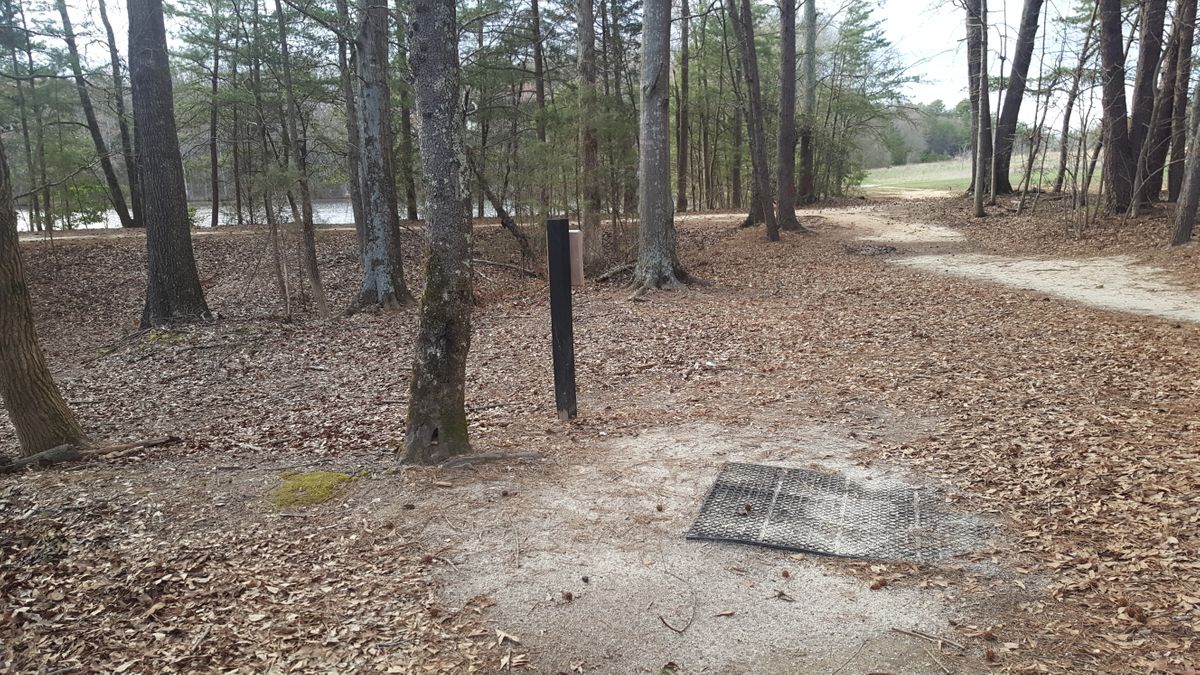 7th tee pad which isn't in line with the direction of the basket. Basket is back along the lake shore along the dirt road.