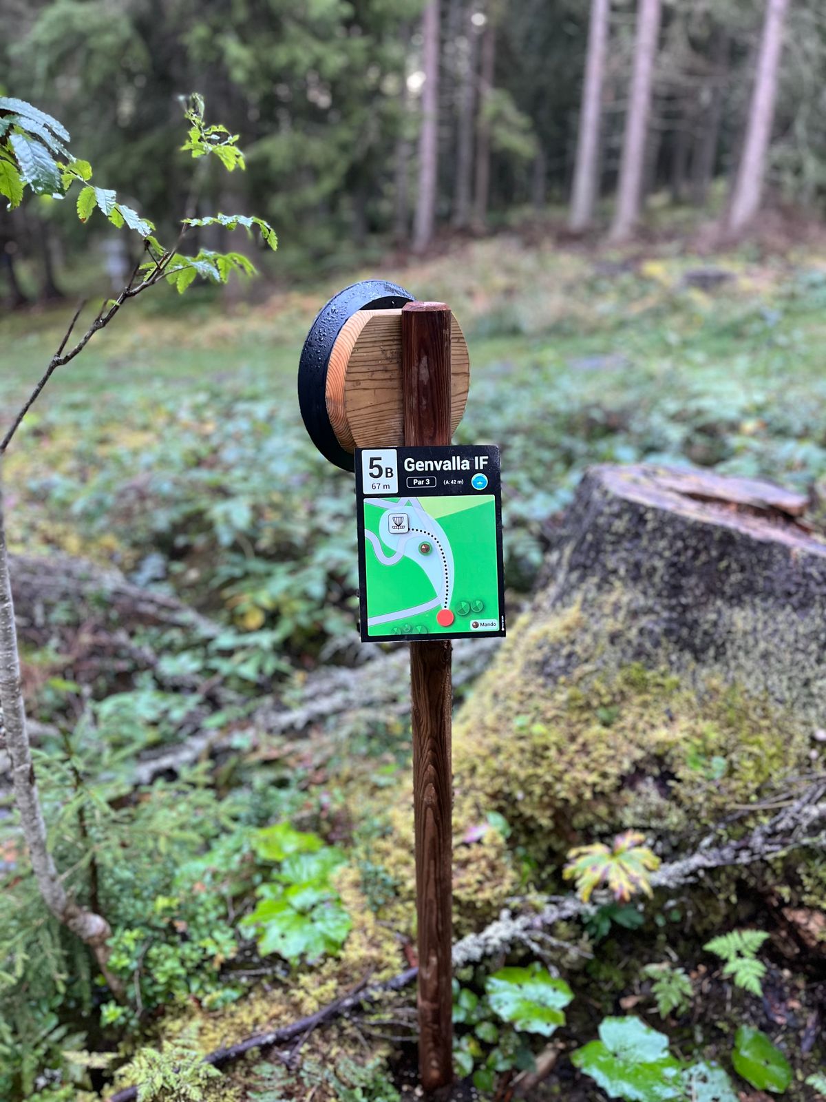 Skyltar på plats