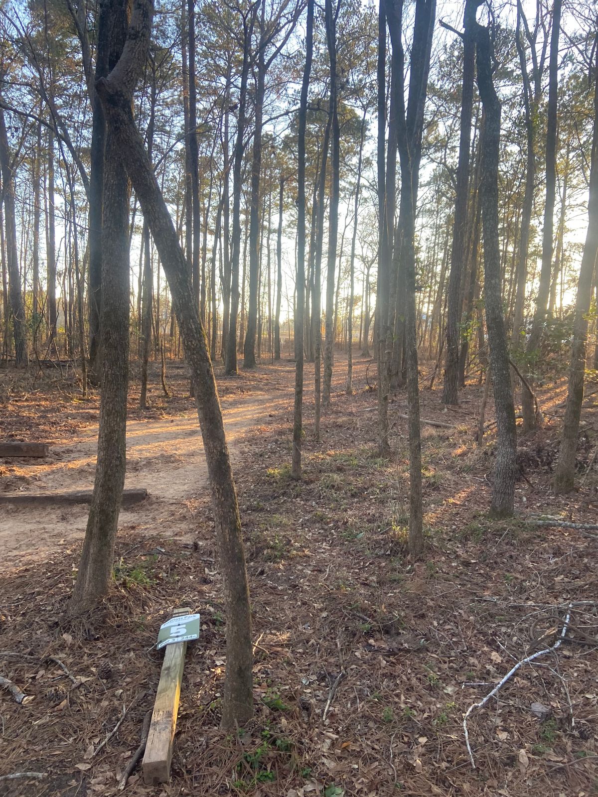 Hole 5