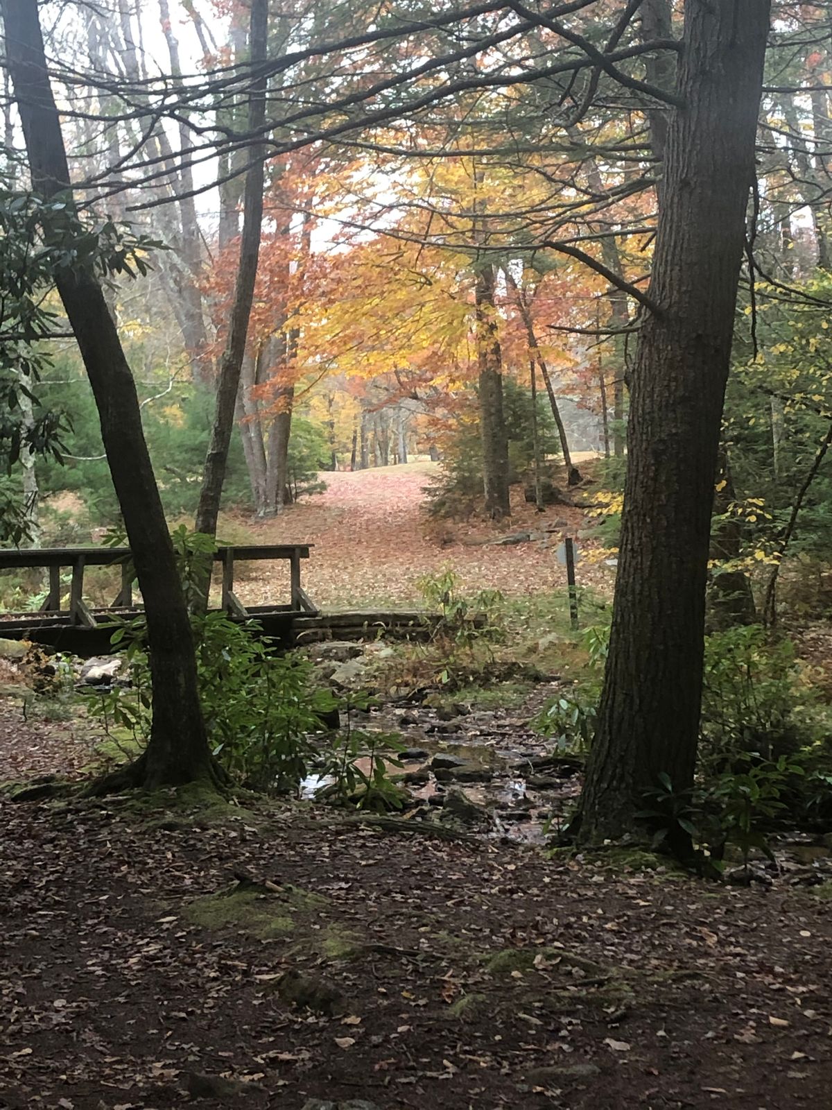 Hole 2