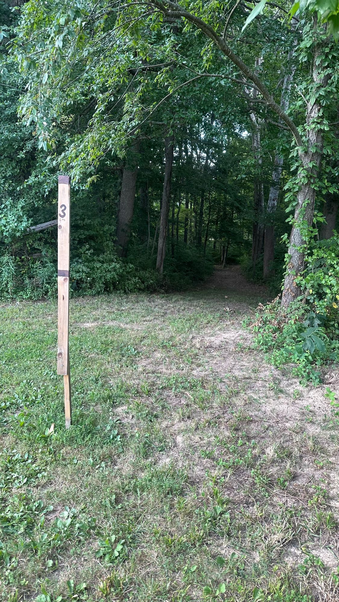 Hole 3 LONG Pad
Placement shot at the S curve about where the short pad is
