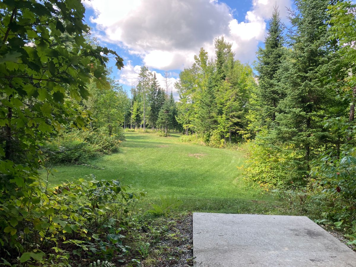 Tee pad 5