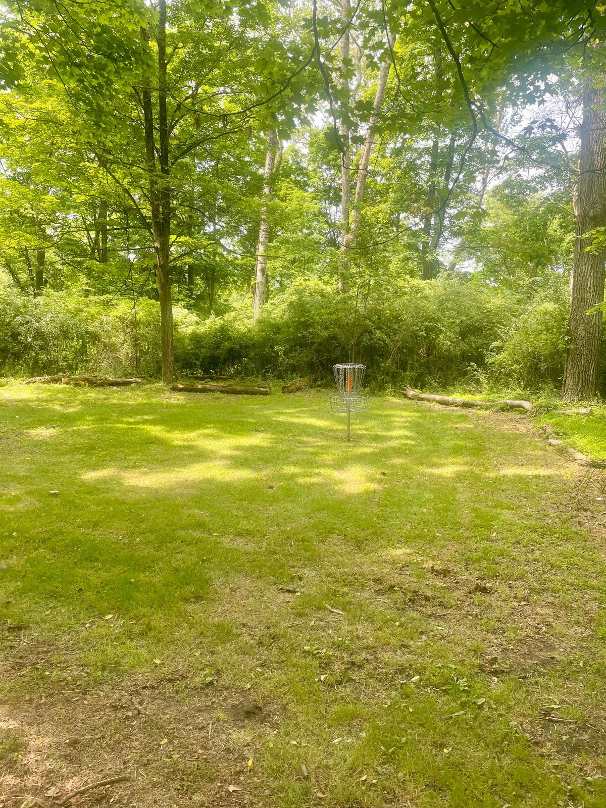 Hole 1 basket