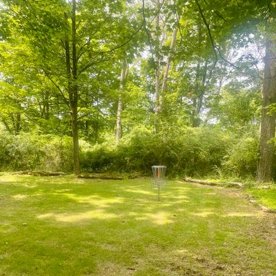 Hole 1 basket