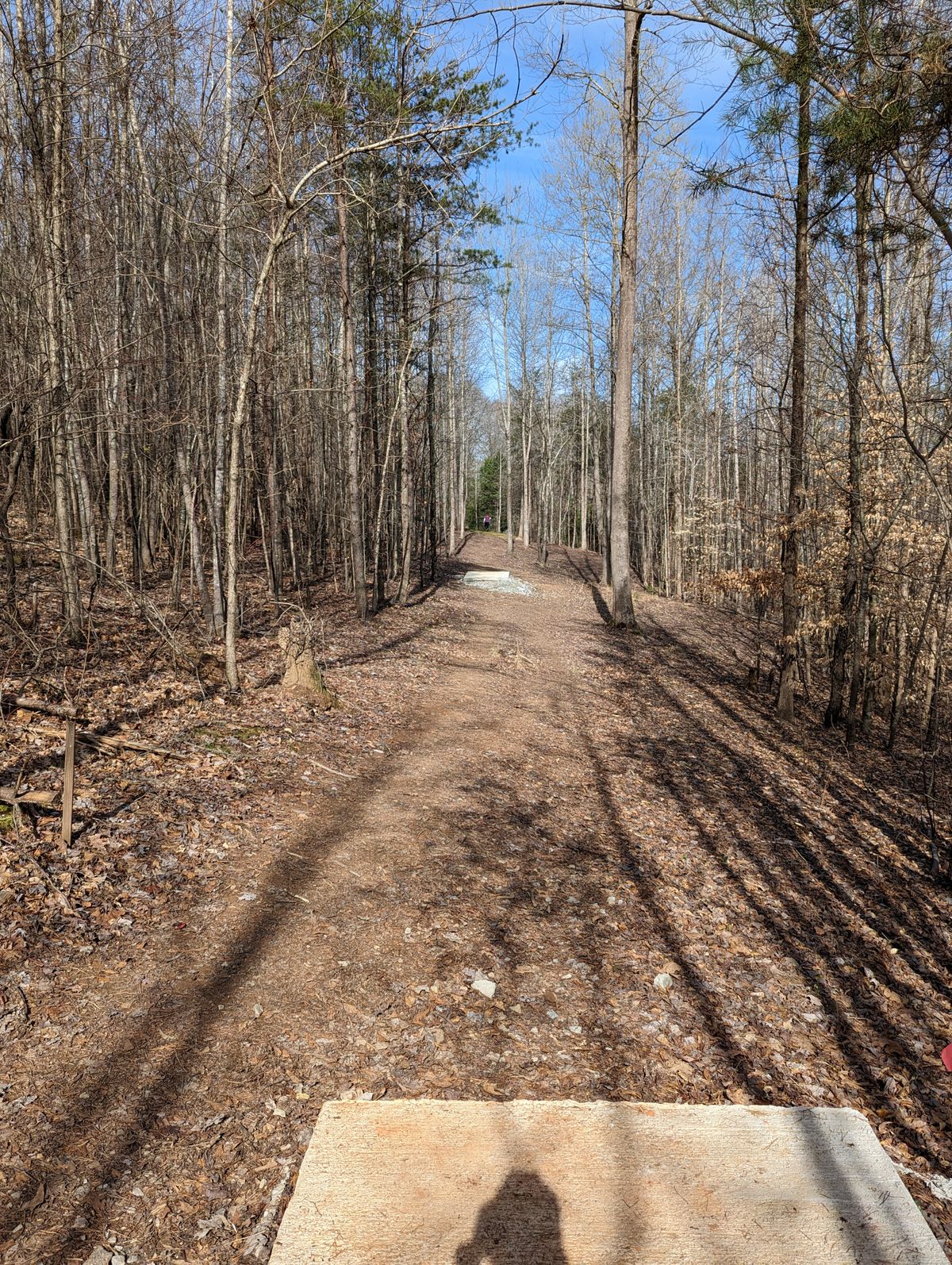 Hole 7, long tee