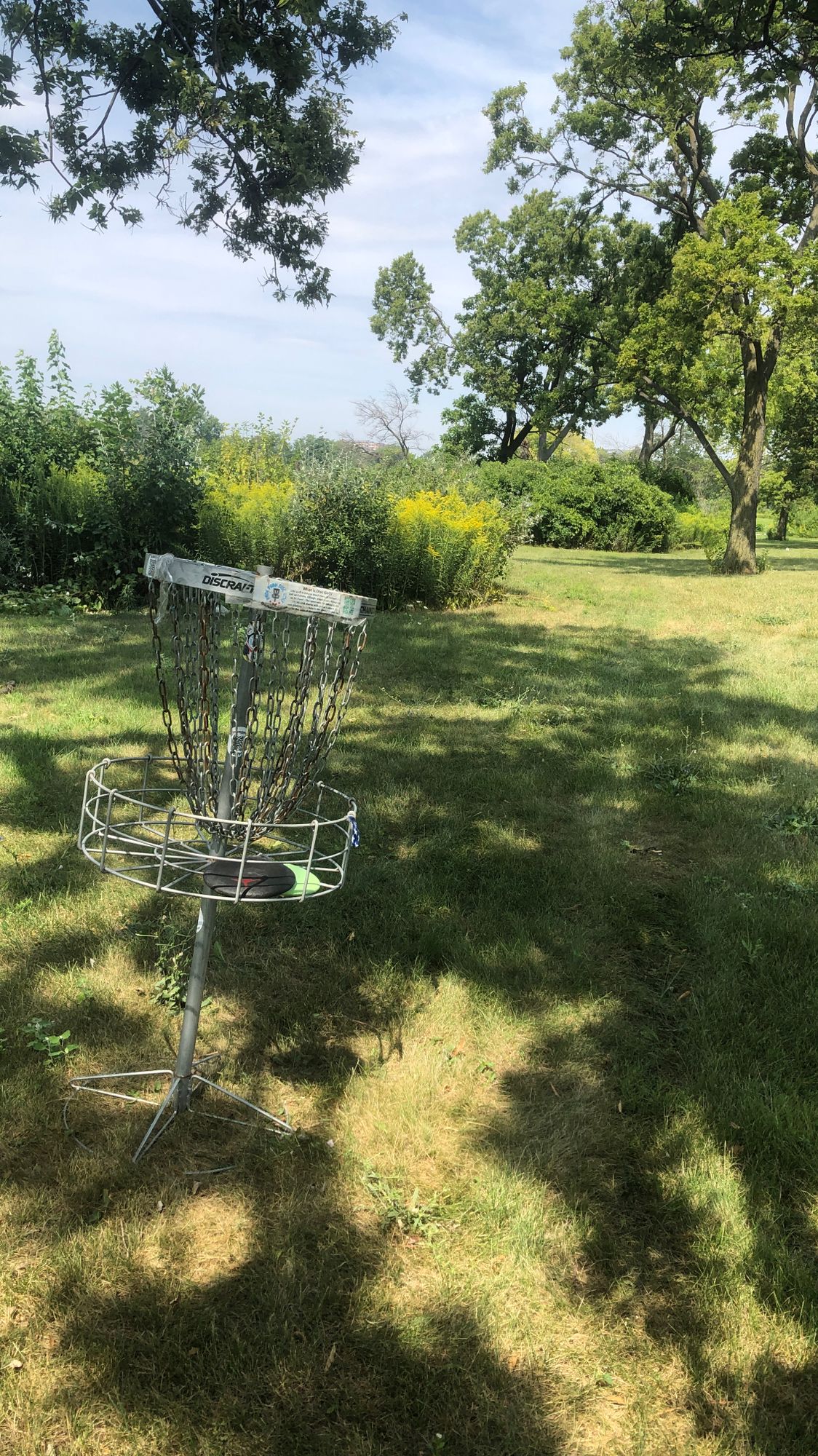Hole 6 Looking North