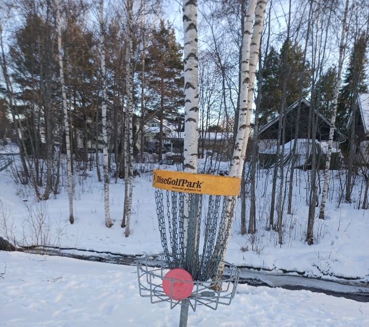 Hole in one in the Vihi-oja