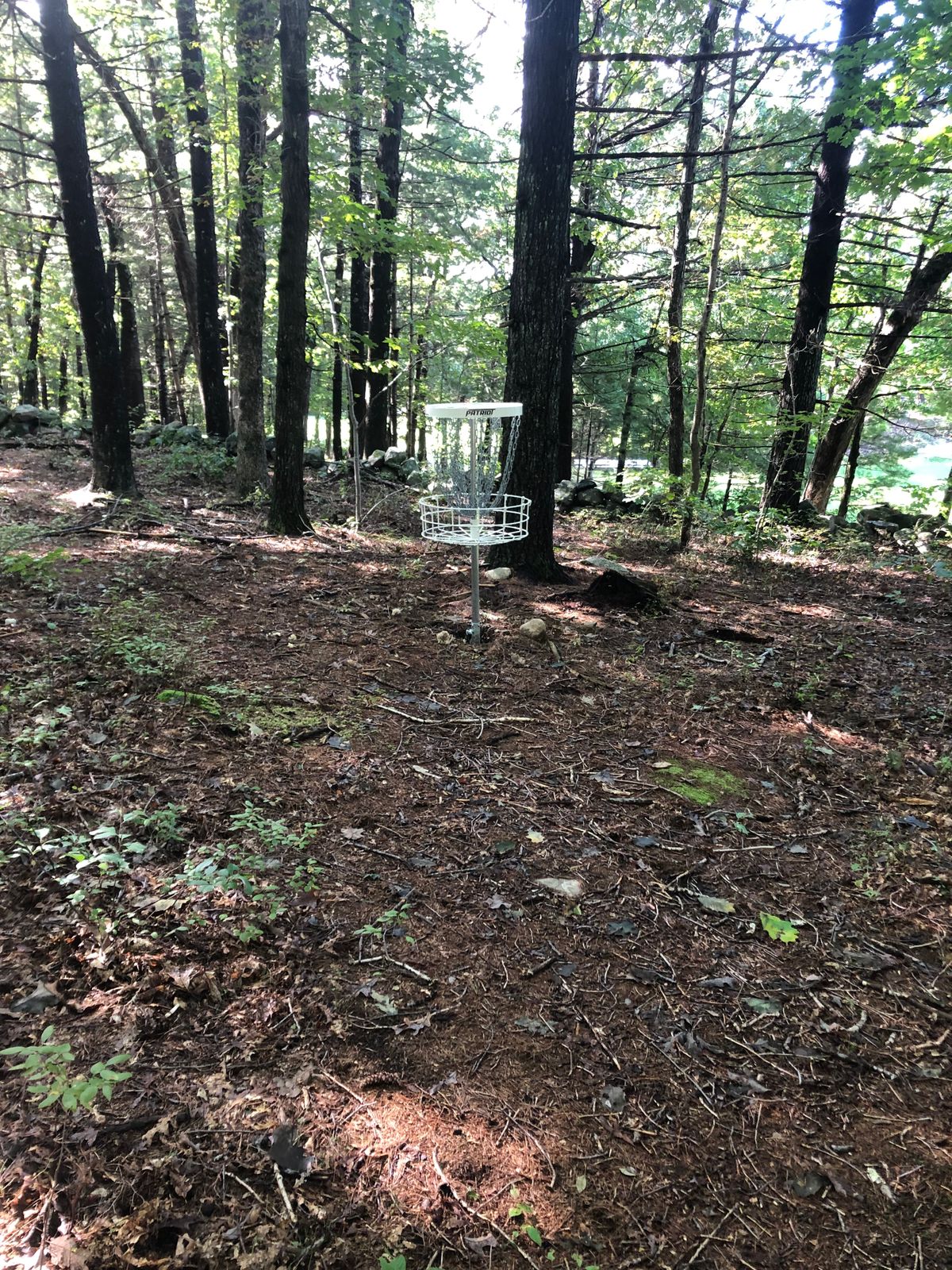 Hole 8 basket