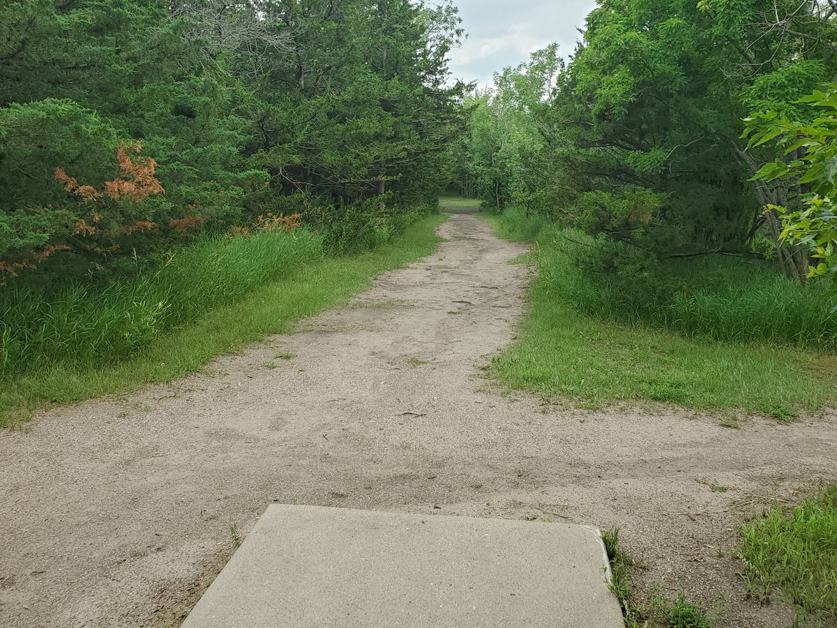 Hole 17. The basket is straight down the path and then at 1 o'clock behind a small cluster of trees.