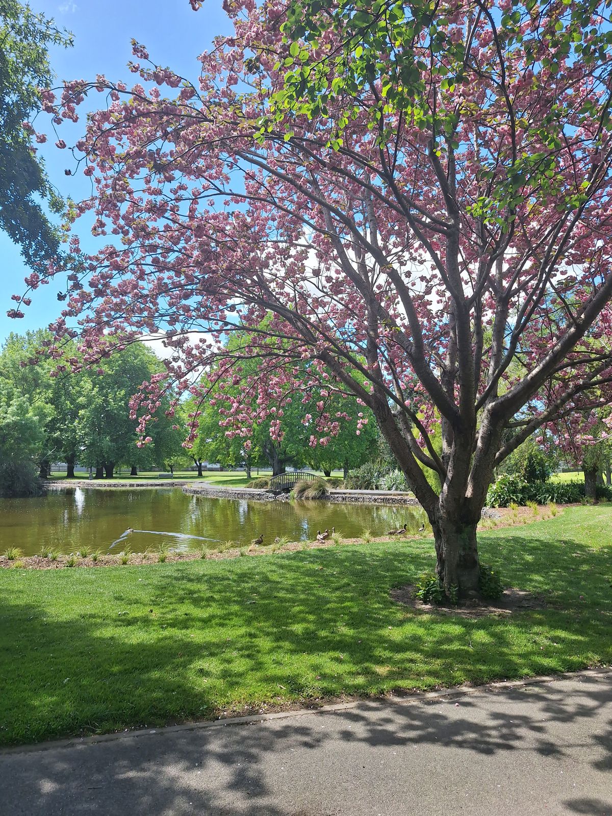 Spring time vibes