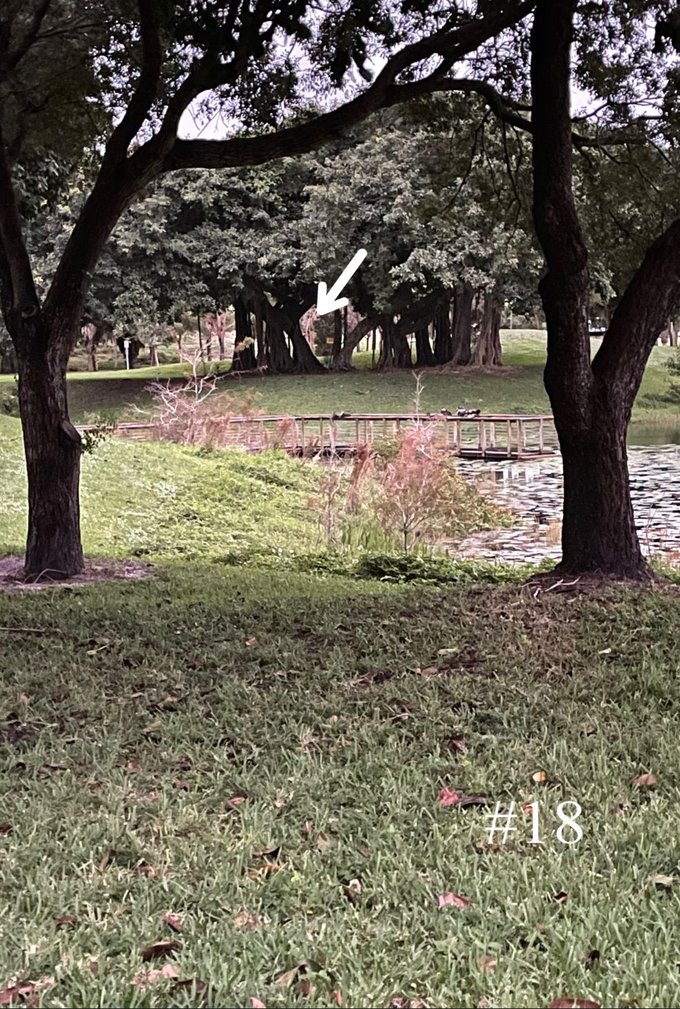 Hole 18, Long Tee