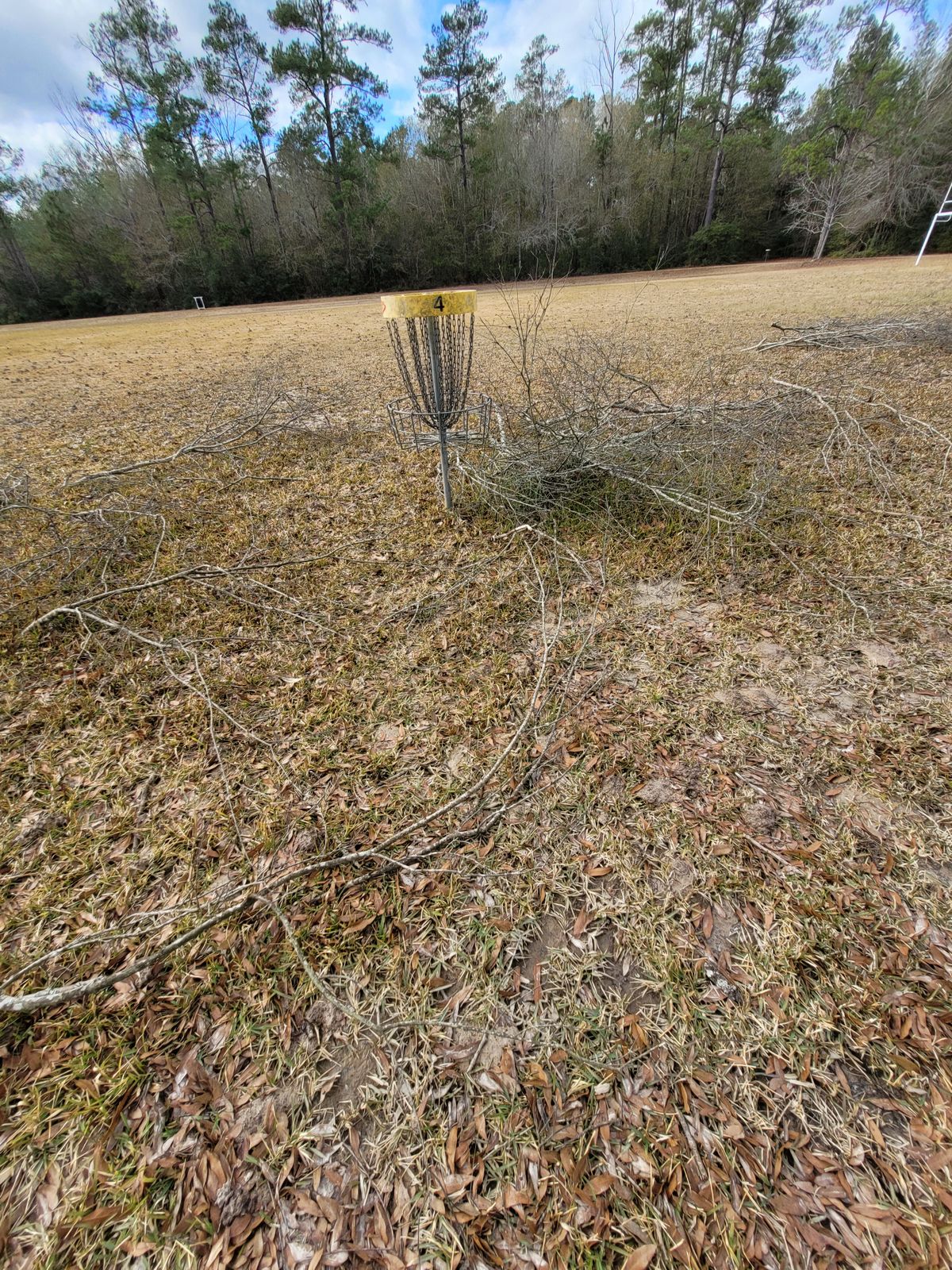 Hole 4
