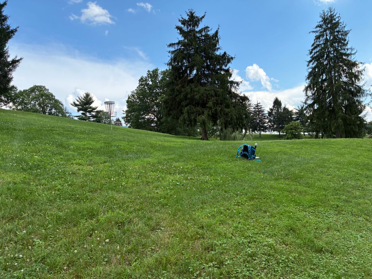 #17 fairway toward basket.