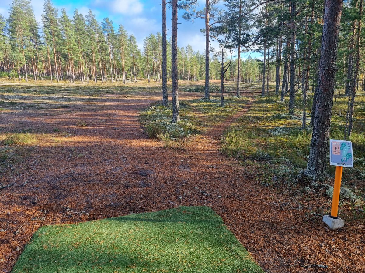 Väylä 6, oikealle taipuen aukealla kummulla olevalle greenille