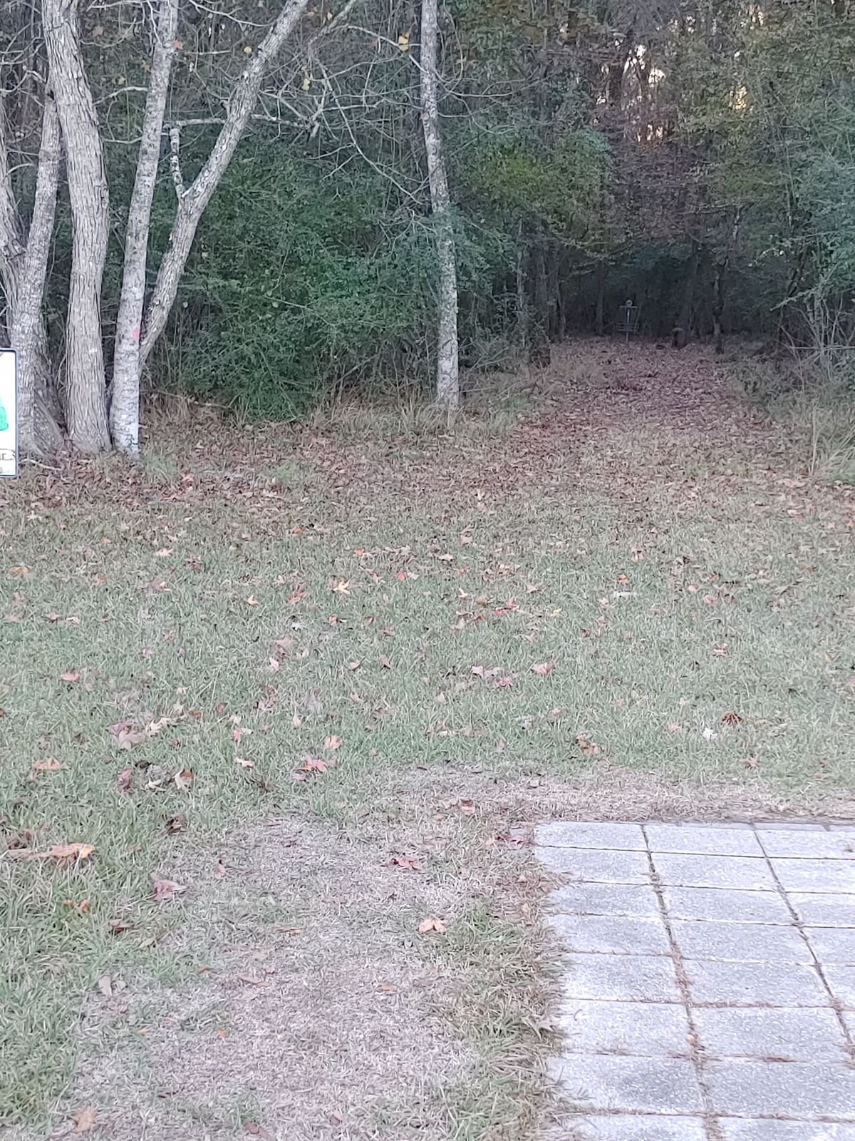 Hole 10 Pro & Am/Short