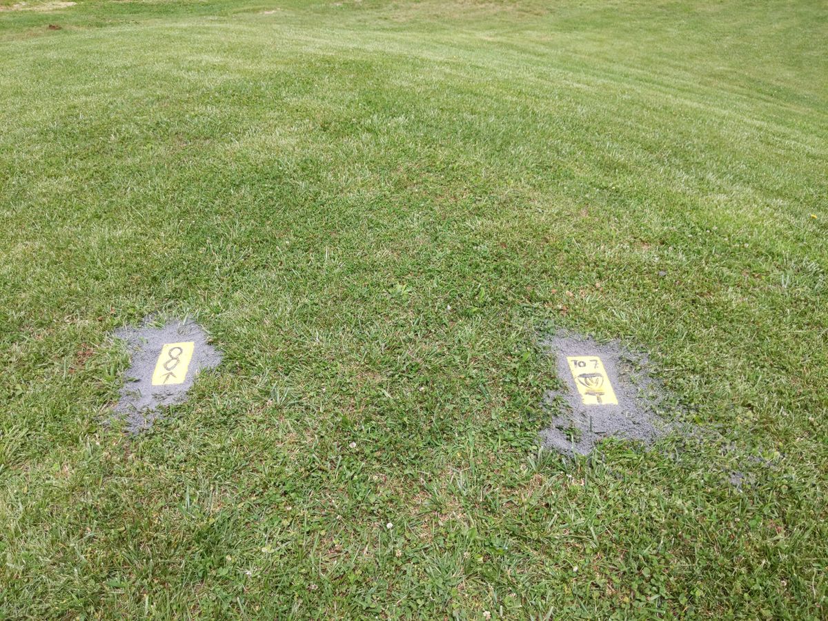 Gold tee markers