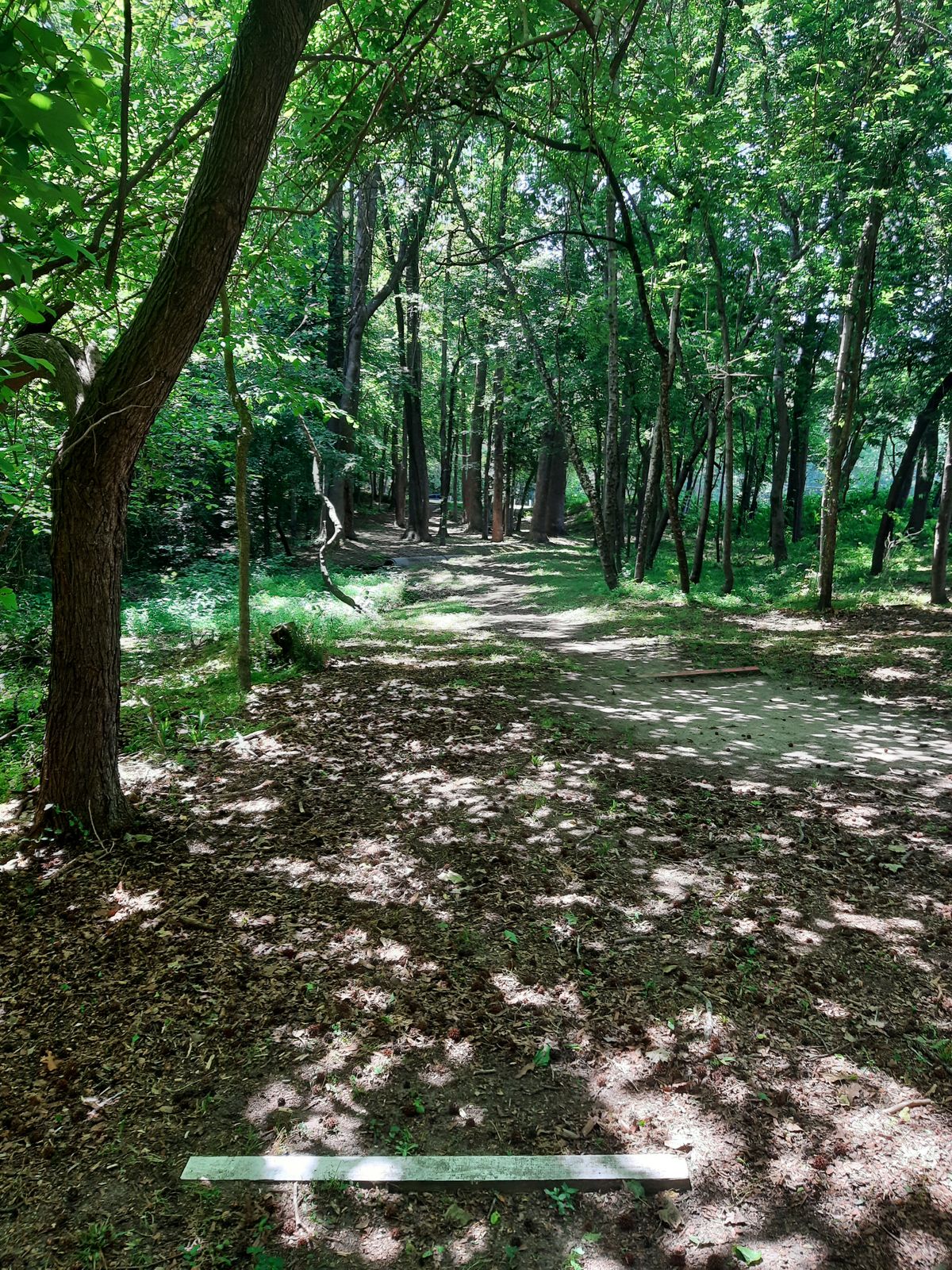 Hole 6 White Alt Tee