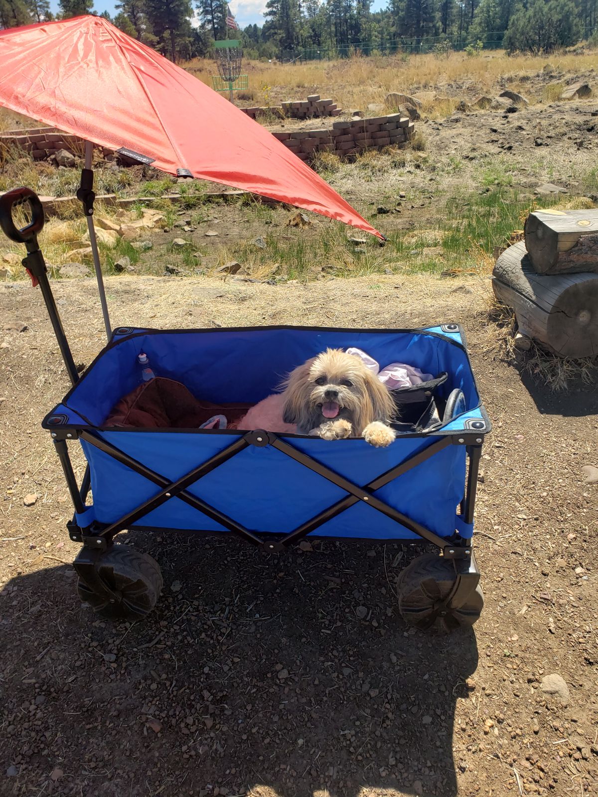 Even Gary likes this course! 
Fun course