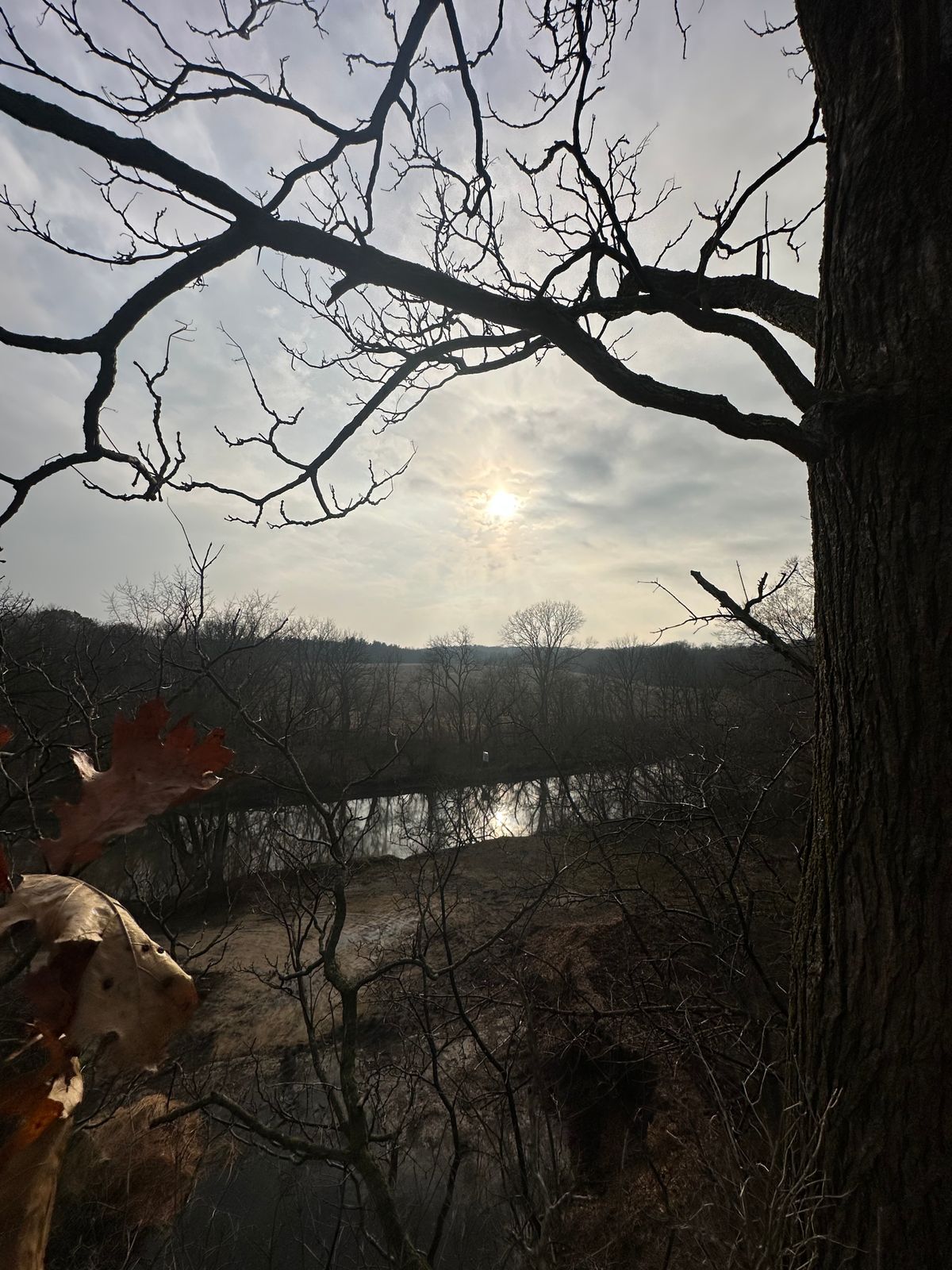 the park even has a great view!