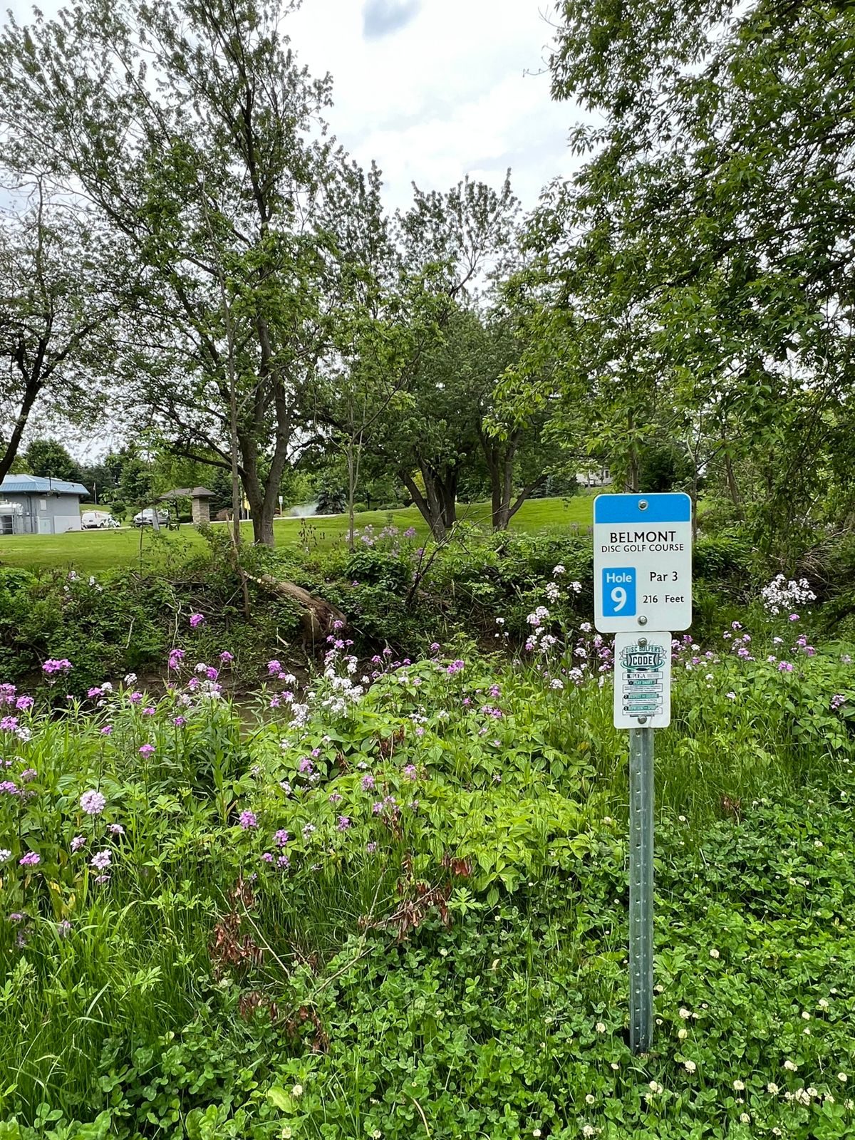 Hole 9 tee
