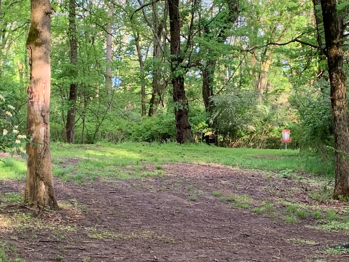 Hole 8 (for now) Long basket, view from short basket