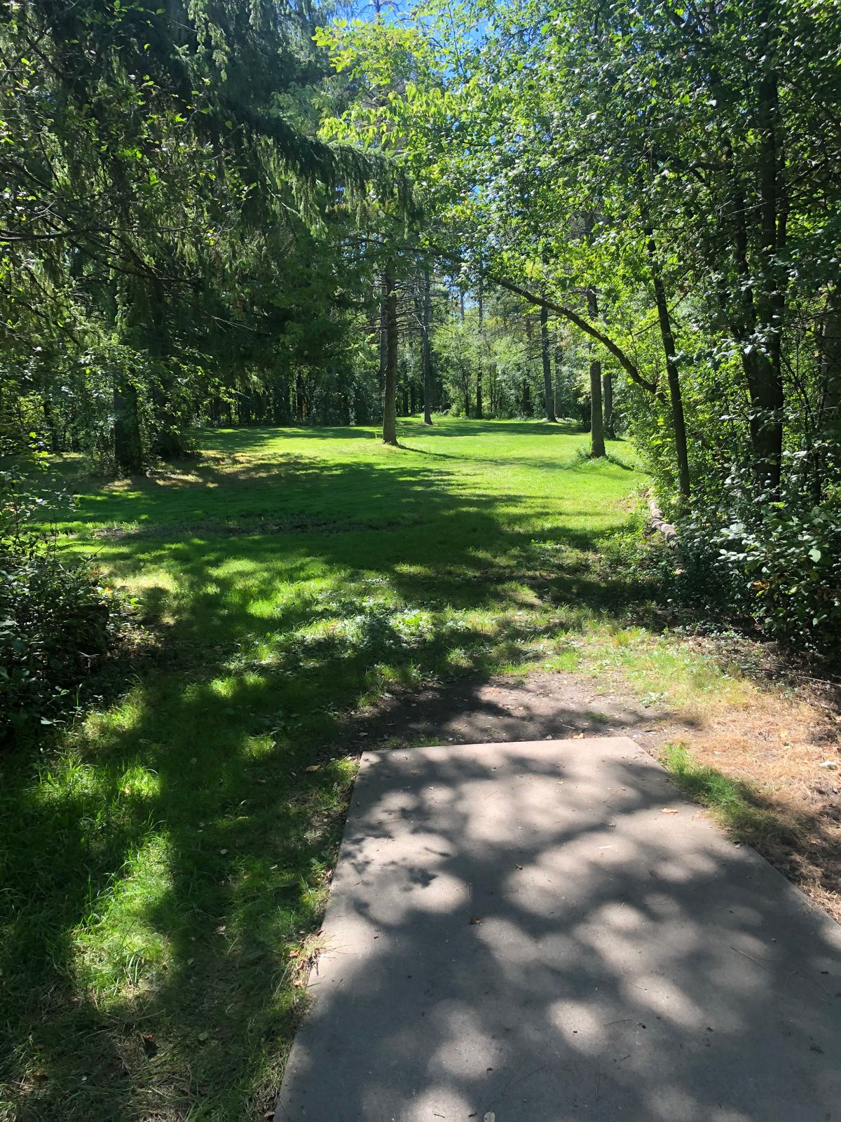 Hole 4