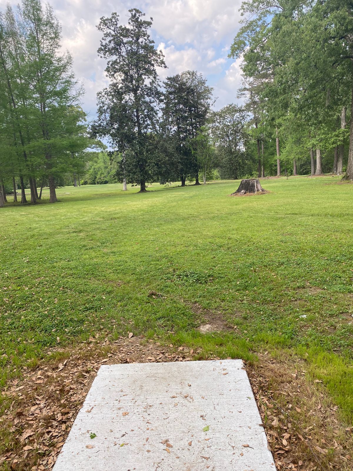 Tee 4