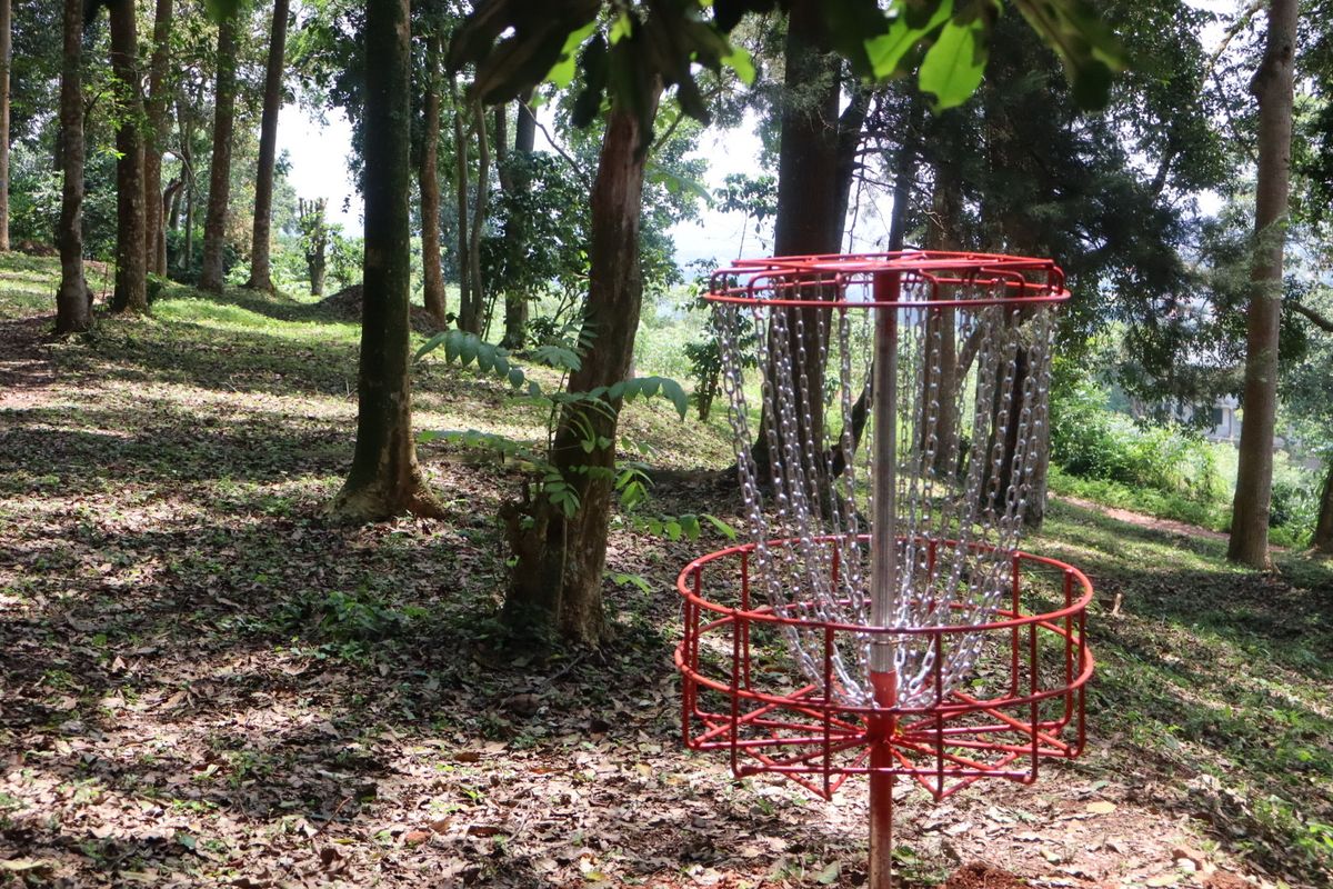 Hole 8 basket